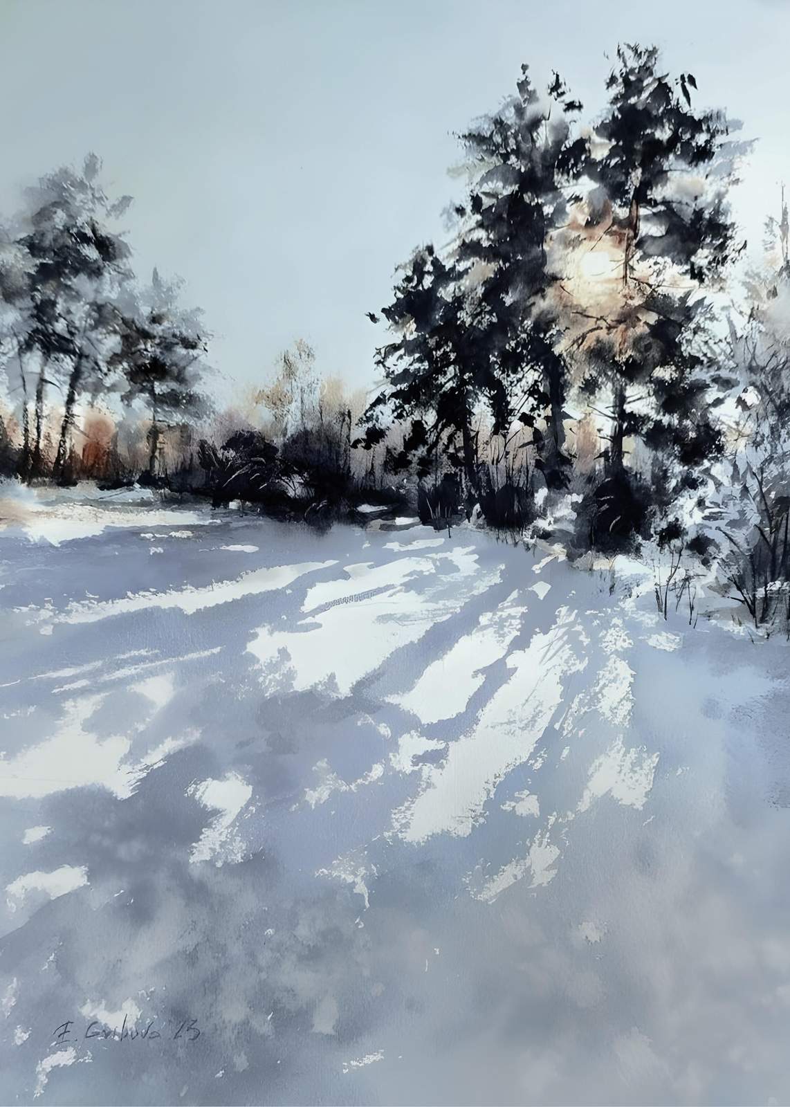 Winter Sun Dappled Forest Wall Art