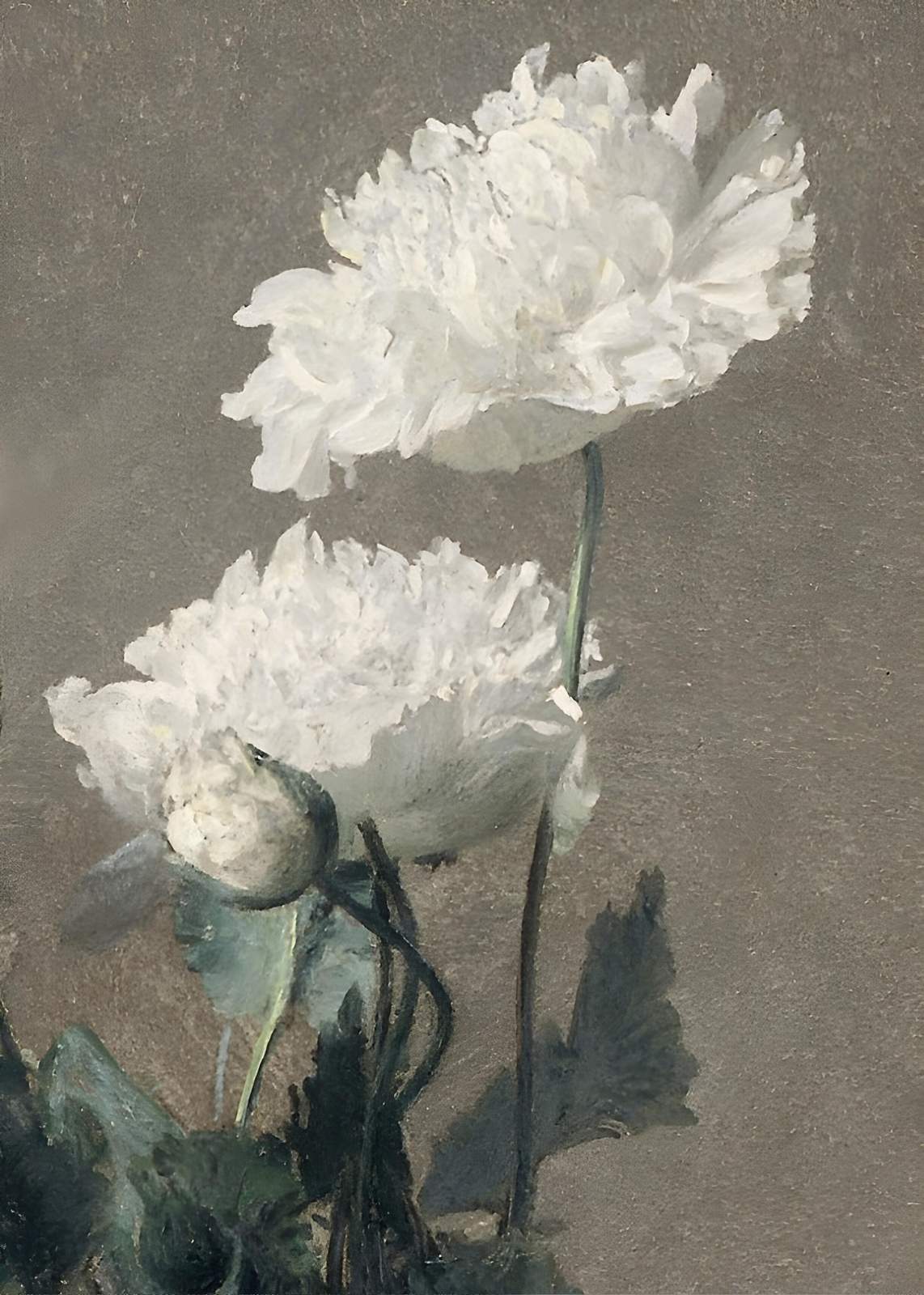 Elegant White Poppies Floral Wall Art Wall Art