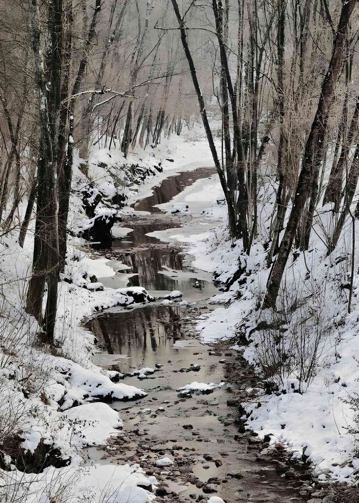 Winter Forest Stream Serenity Wall Art