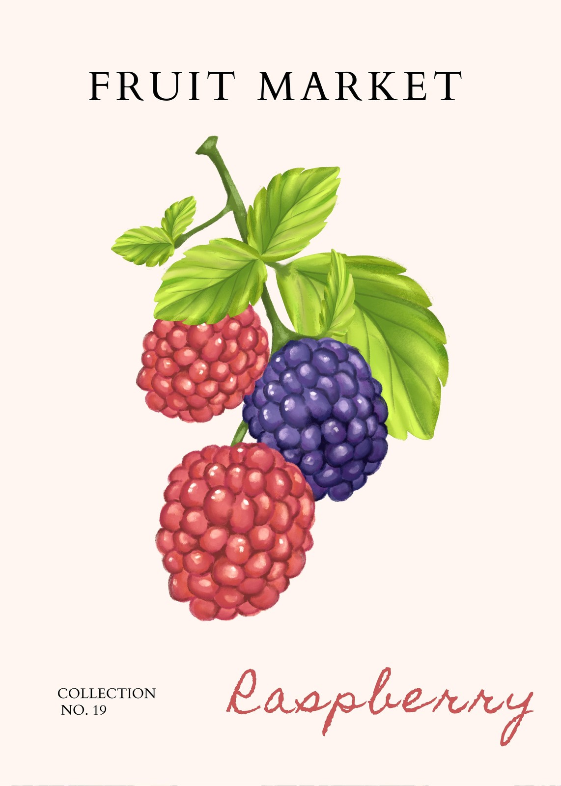 Vibrant Raspberry Blackberry Fruit Market Wall Art