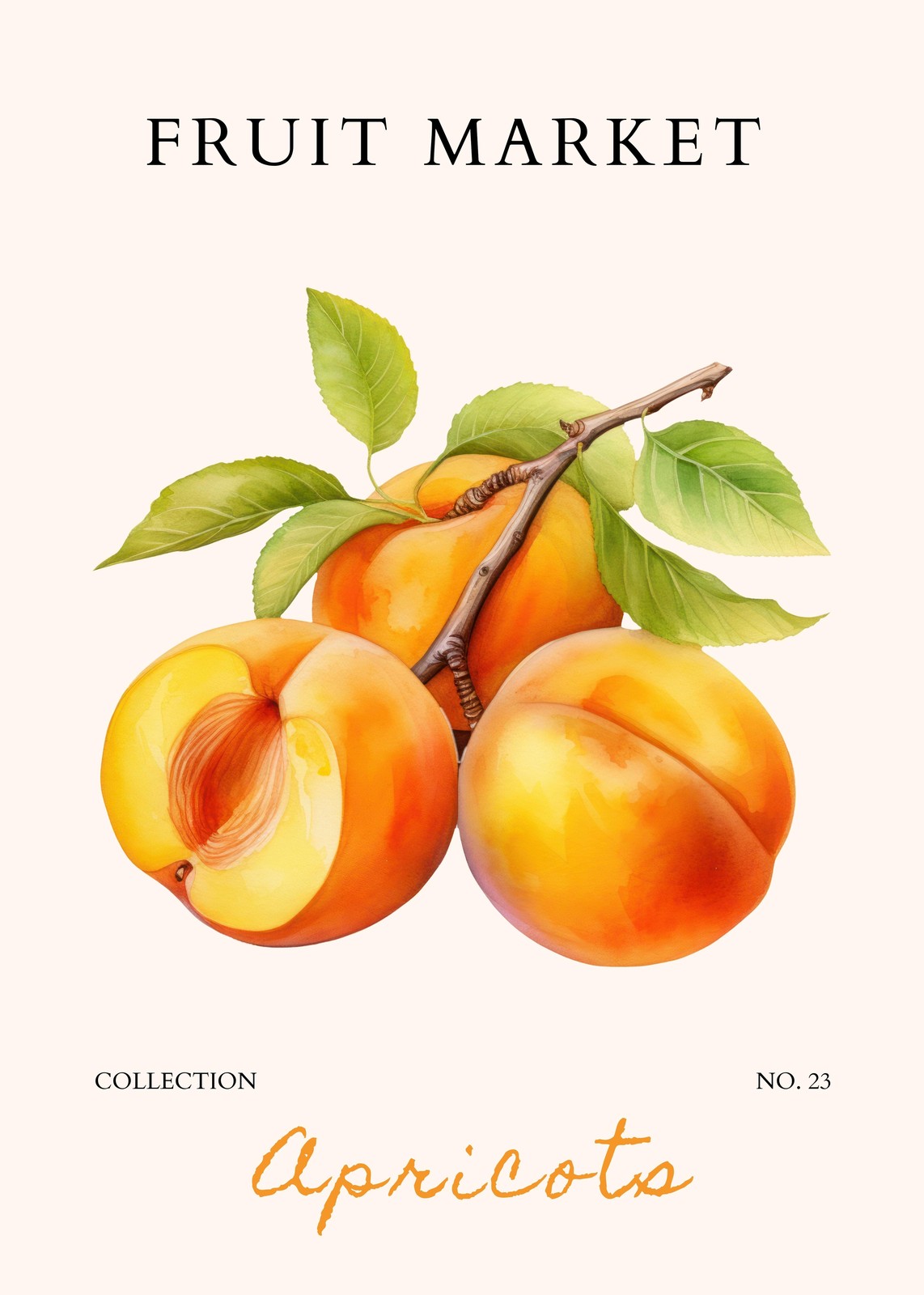 Vibrant Apricot Still Life Wall Art