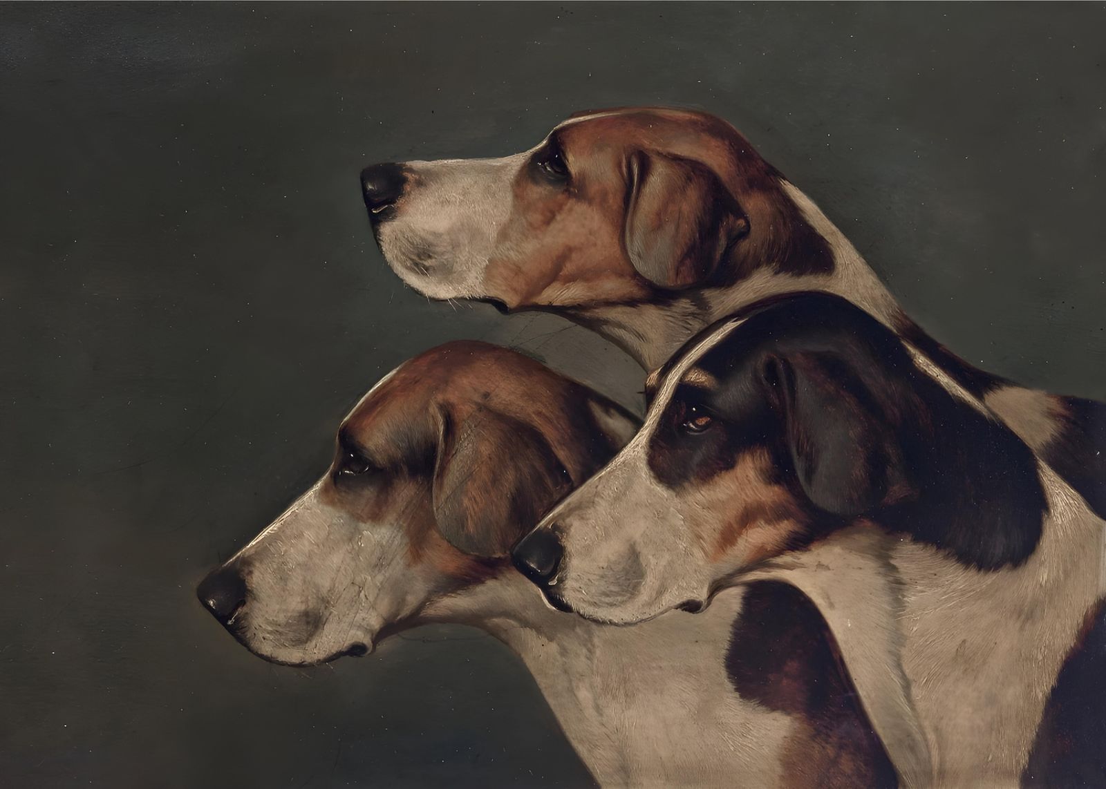 Regal Hound Trio Vintage Dog Art Wall Art