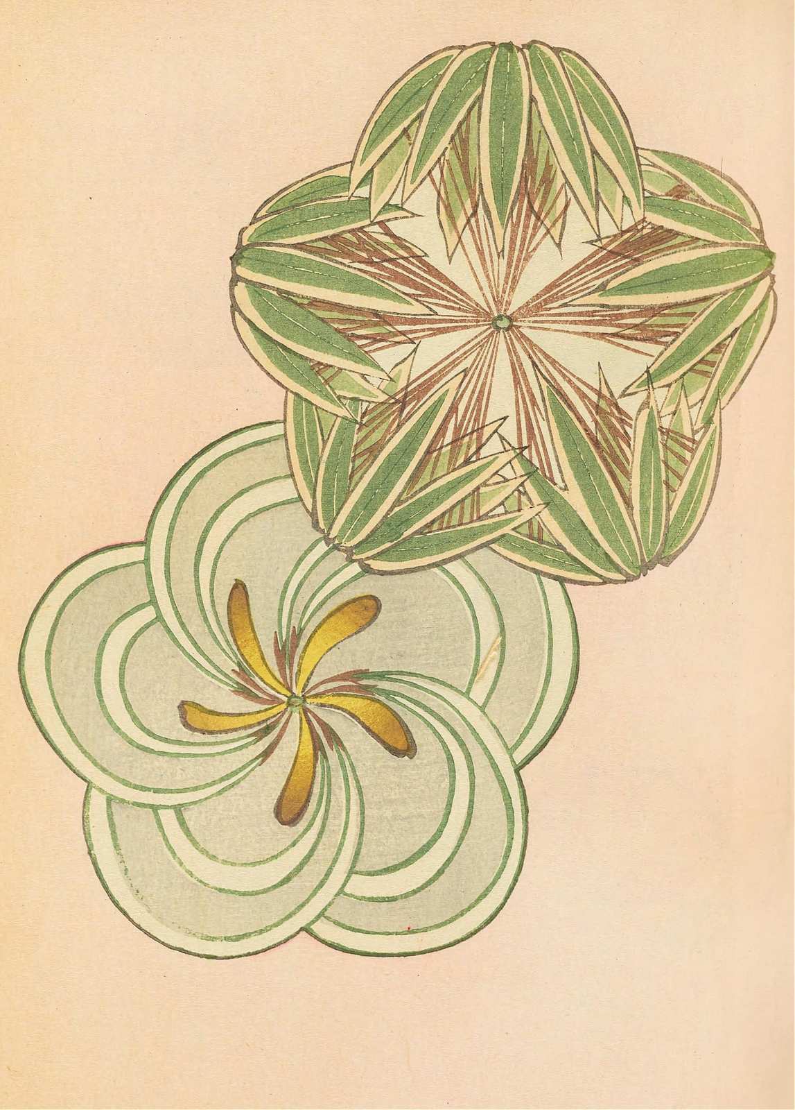 Botanical Bloom & Swirls Wall Art