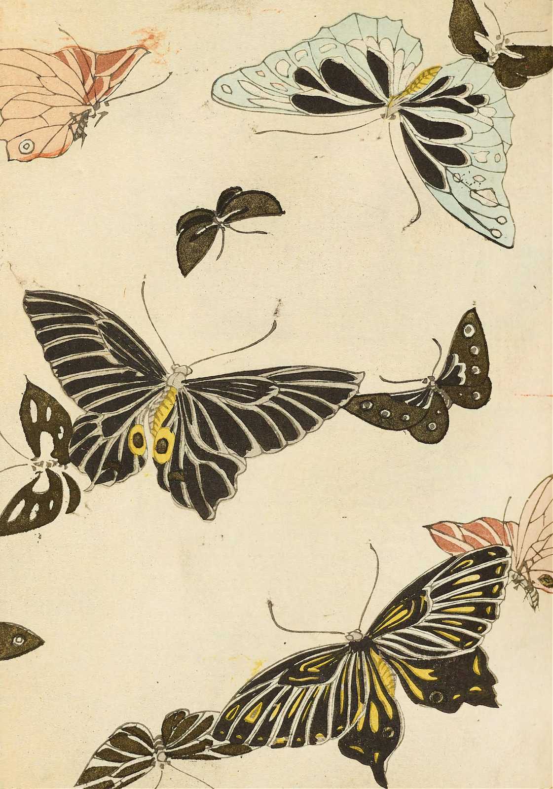 Vintage Butterfly Collection Wall Art