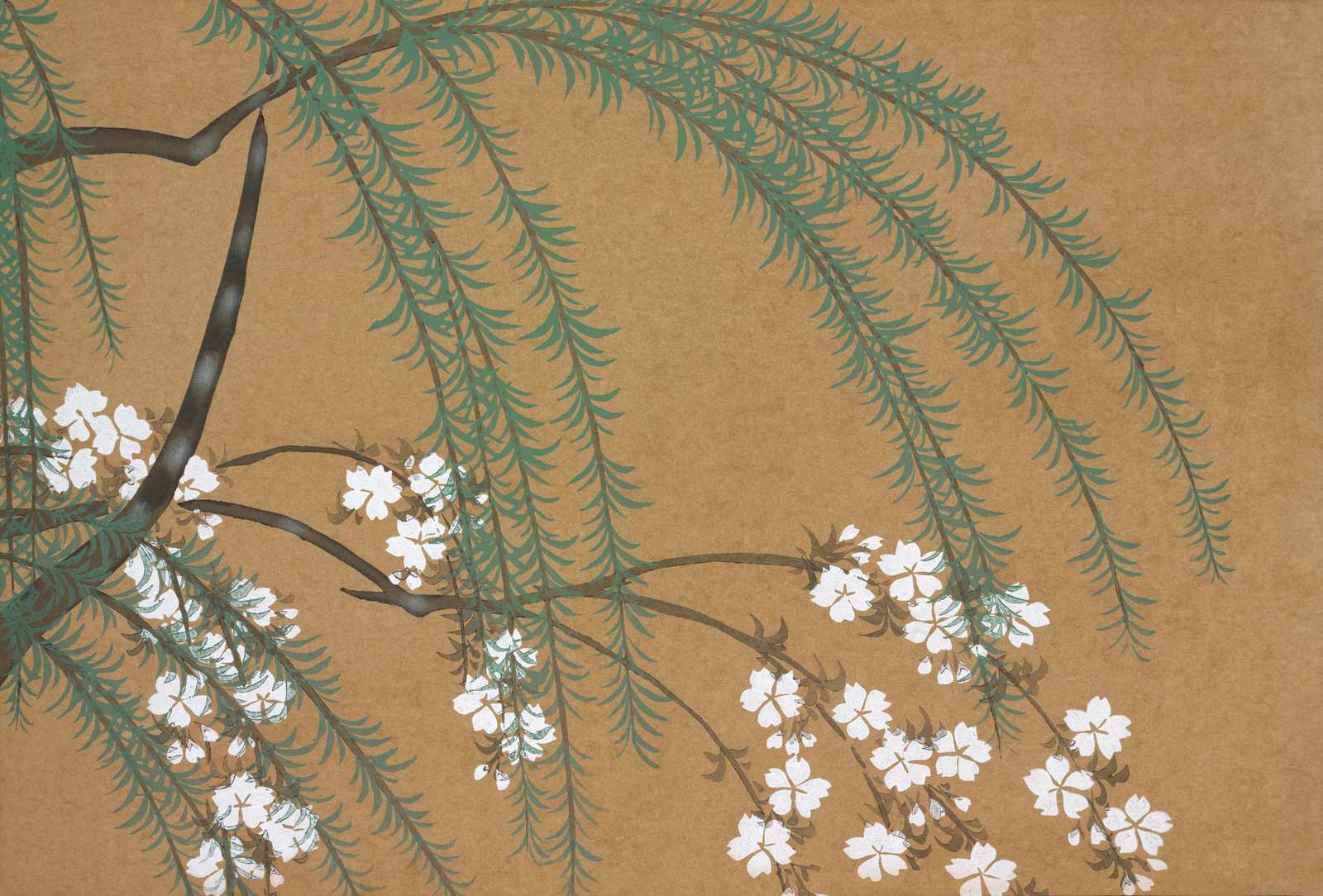 Serene Willow & Blossom Wall Art