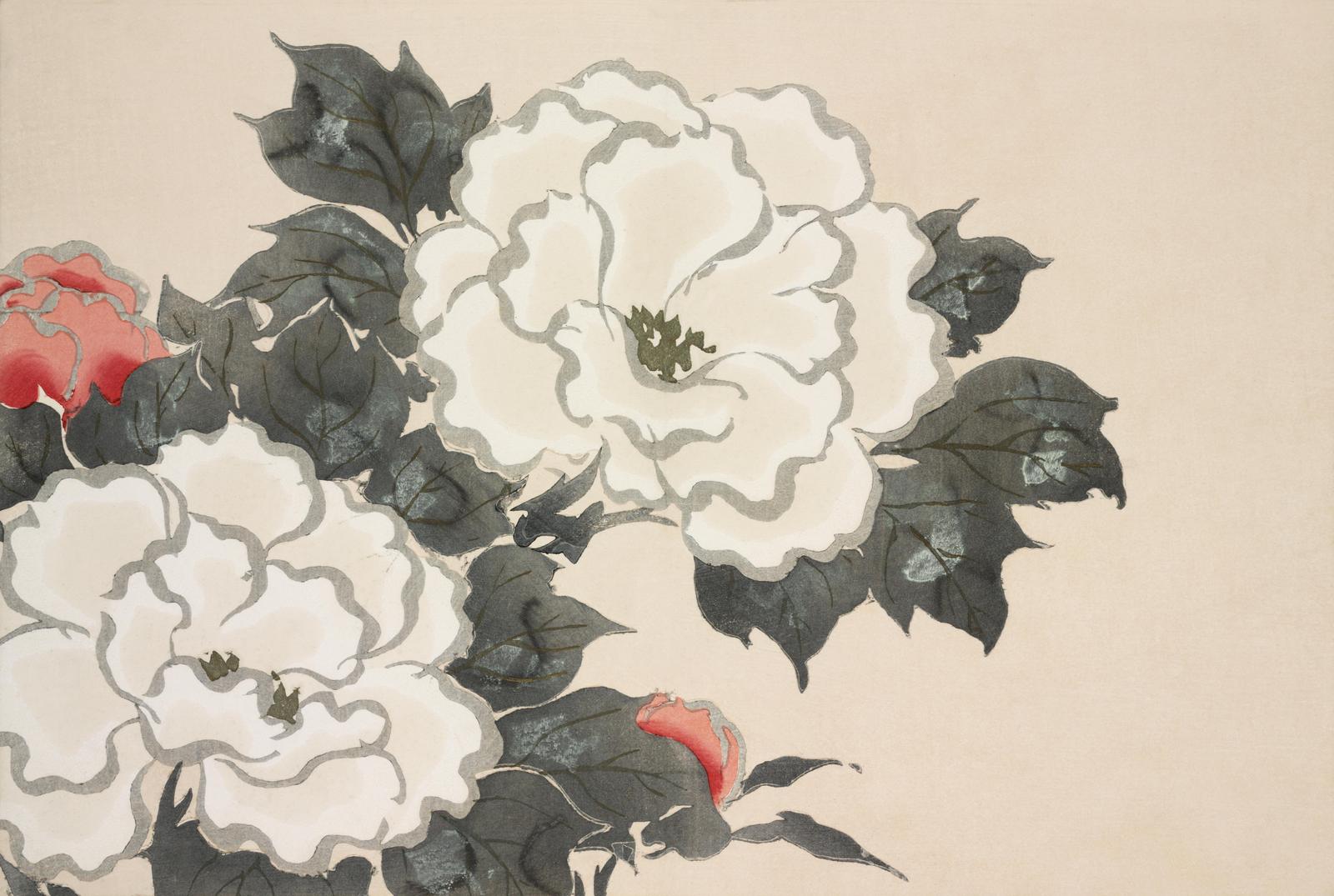 Elegant Peony Blossom Wall Art | Floral Wall Art