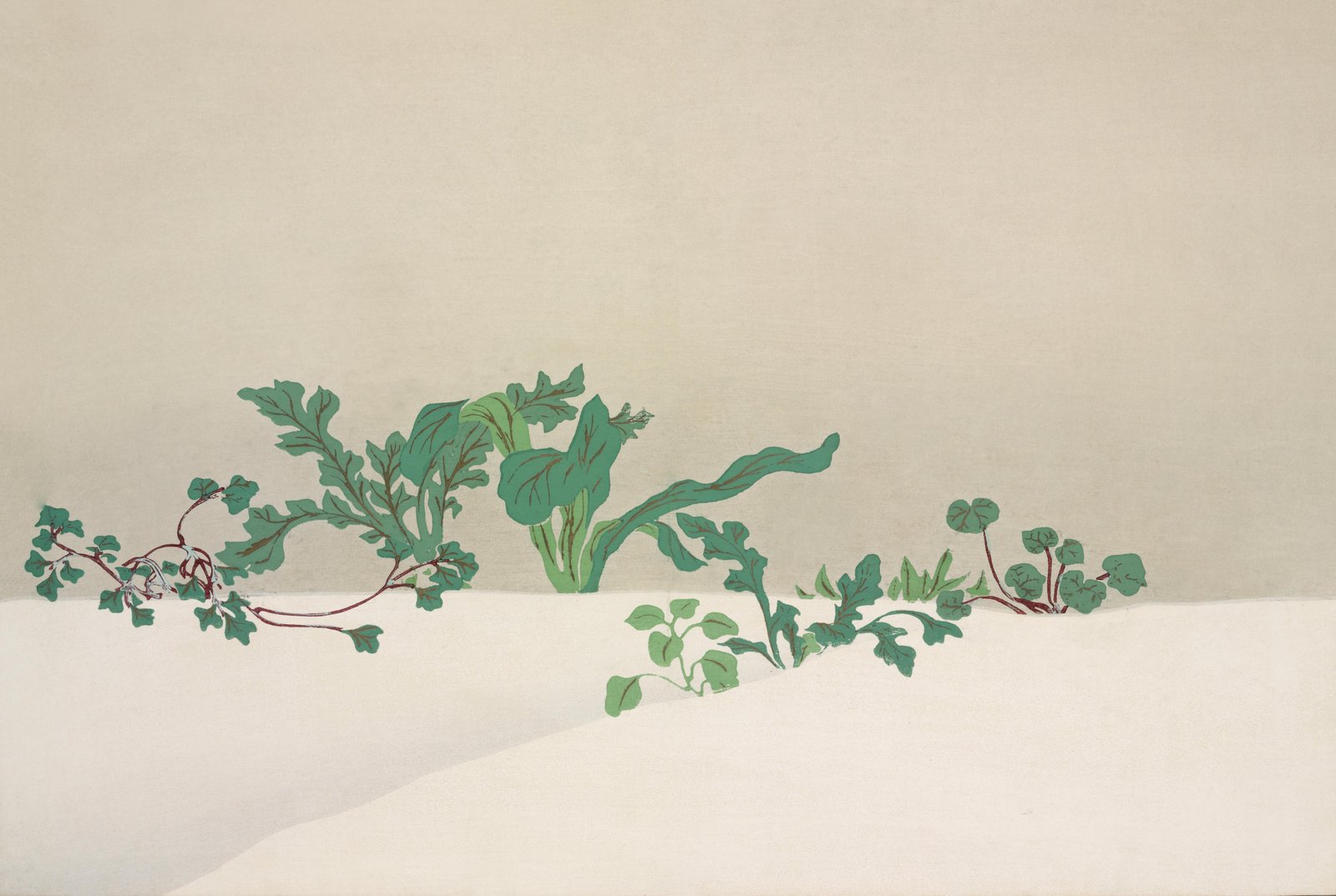 Nature's Serenity Botanical Art Wall Art
