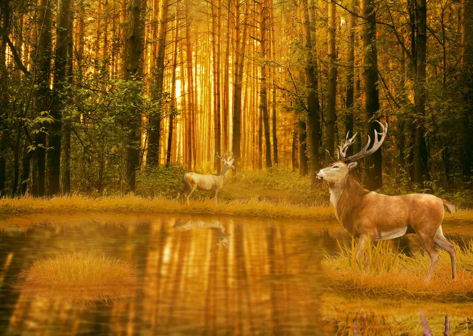 Majestic Deer Forest Landscape Wall Art