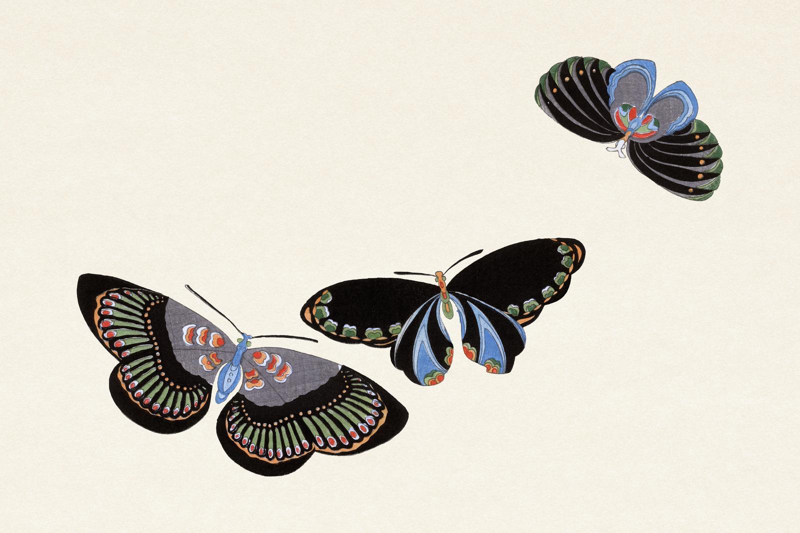 Elegant Butterfly Art Print