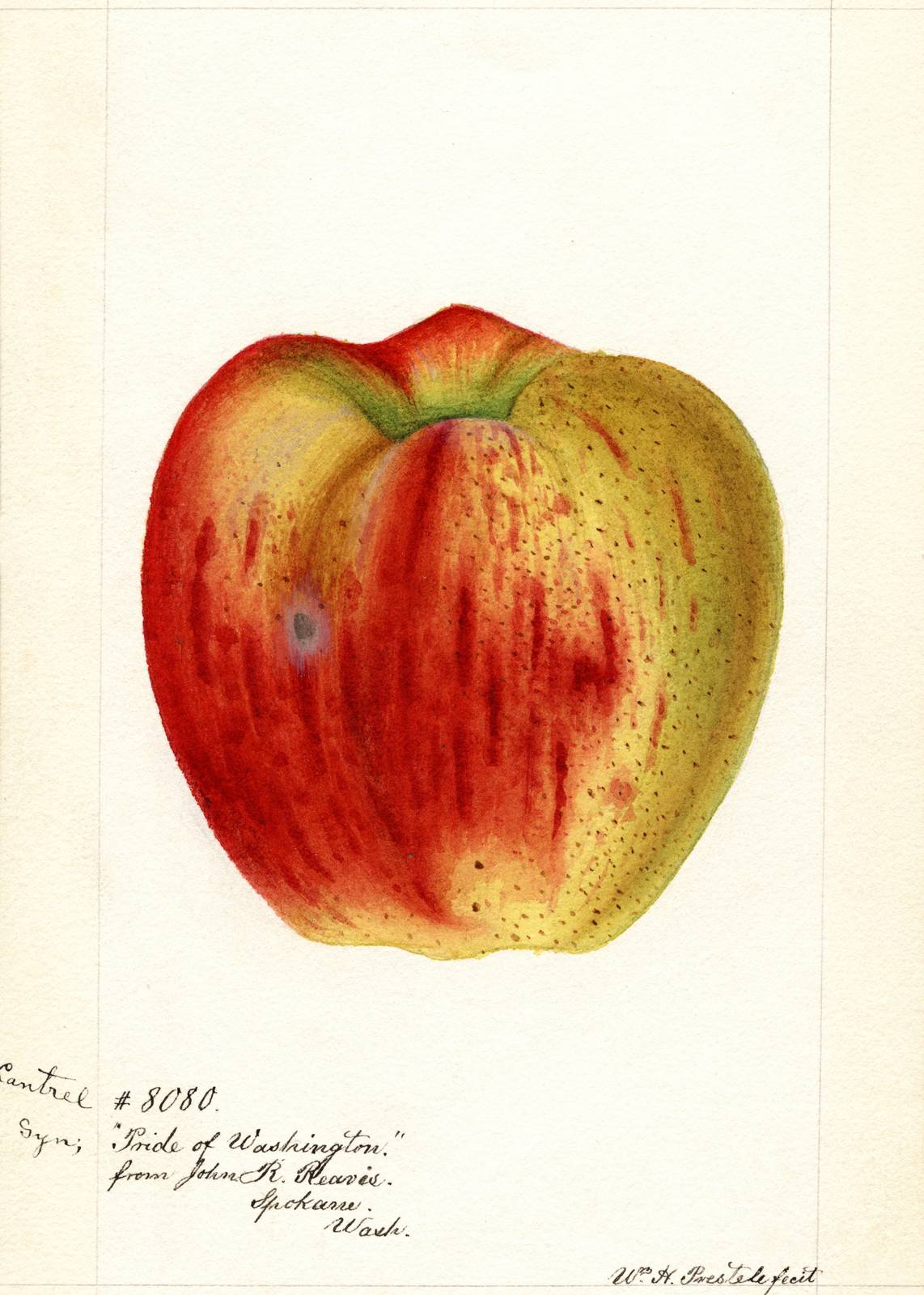 Vintage Apple "Pride of Washington" Wall Art