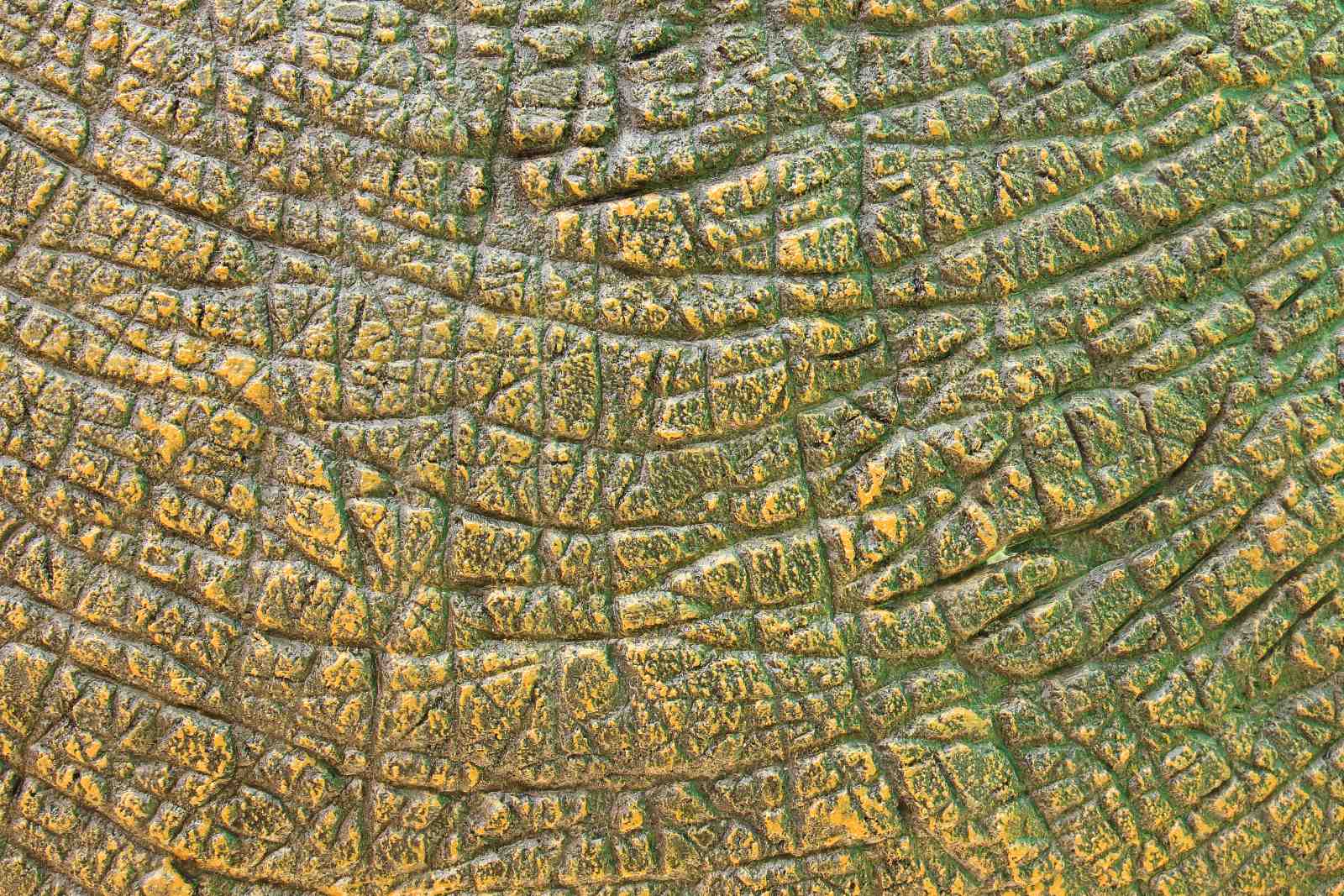 Textured Reptile Skin Abstract Wall Art