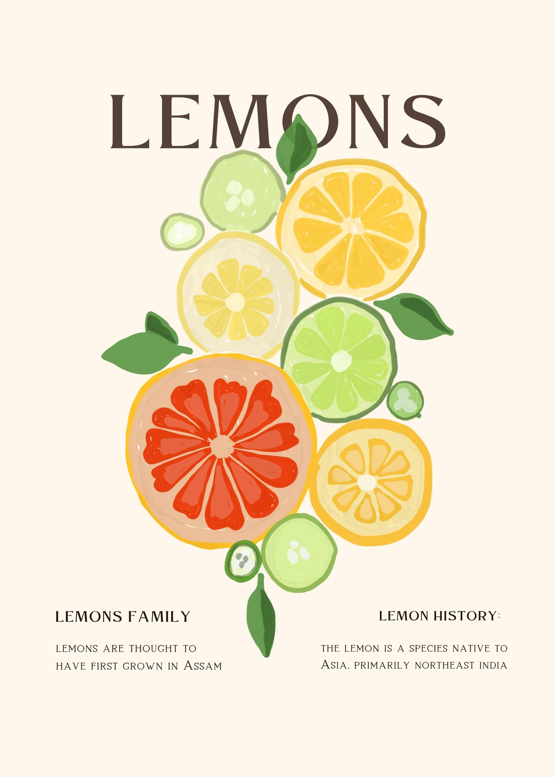 Vibrant Citrus Slices Wall Art
