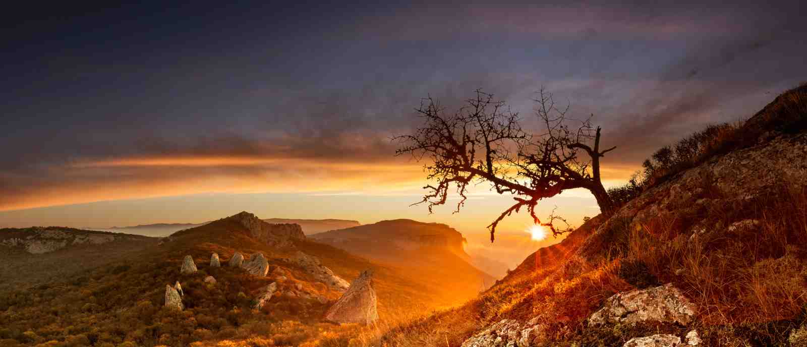 Dramatic Mountain Sunrise Tree Wall Art