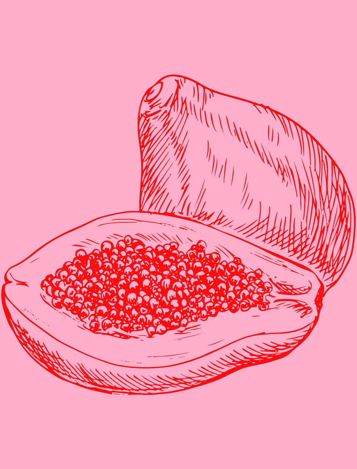 Vibrant Papaya Sketch Wall Art