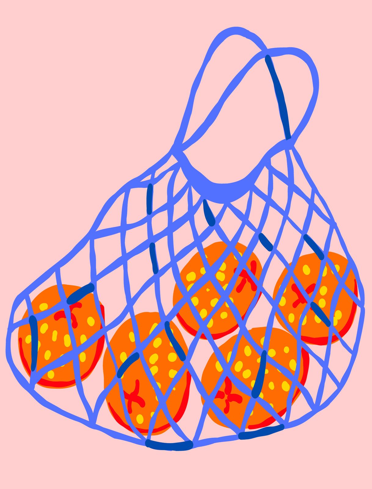 Vibrant Orange Net Bag Wall Art