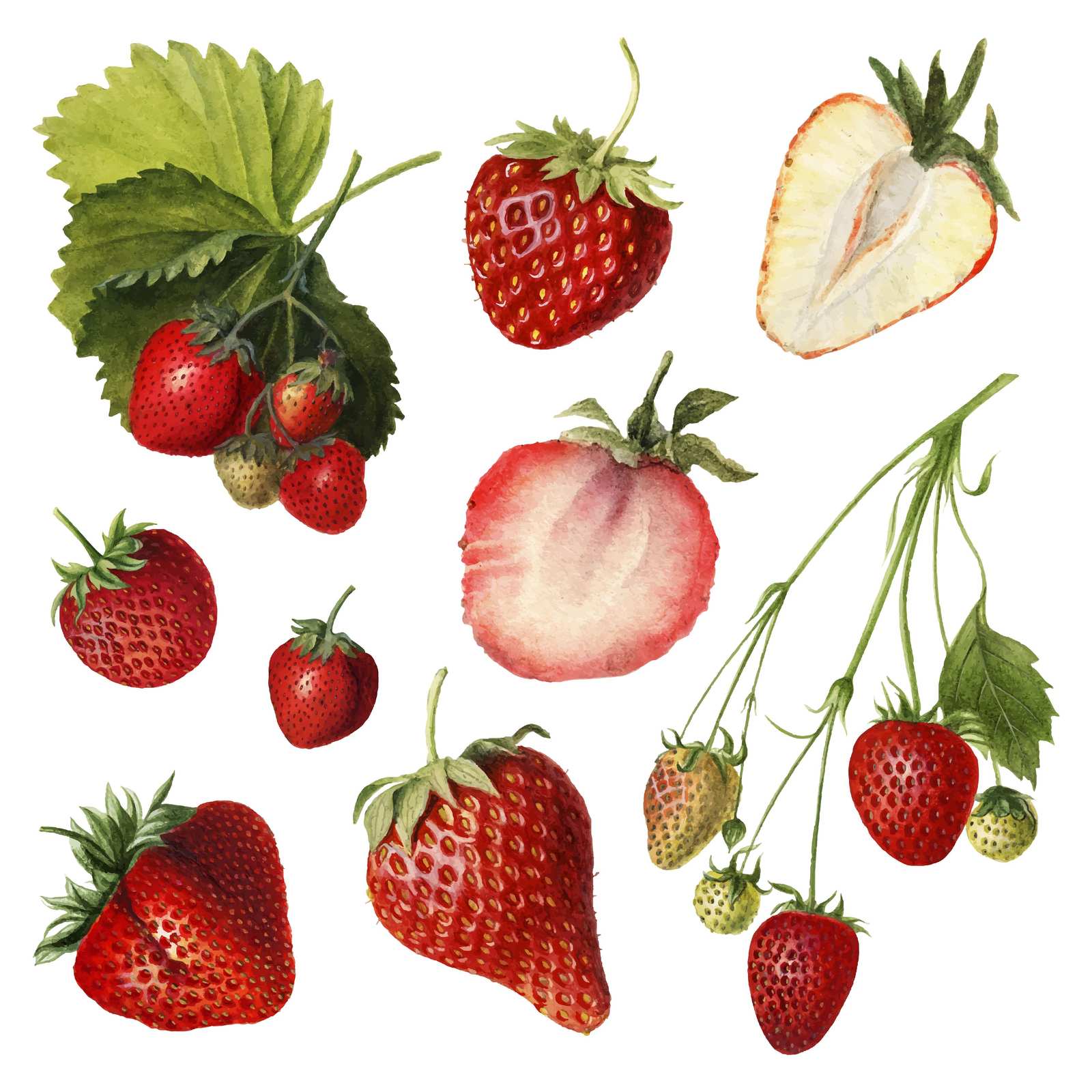 Vibrant Watercolor Strawberry Burst Wall Art