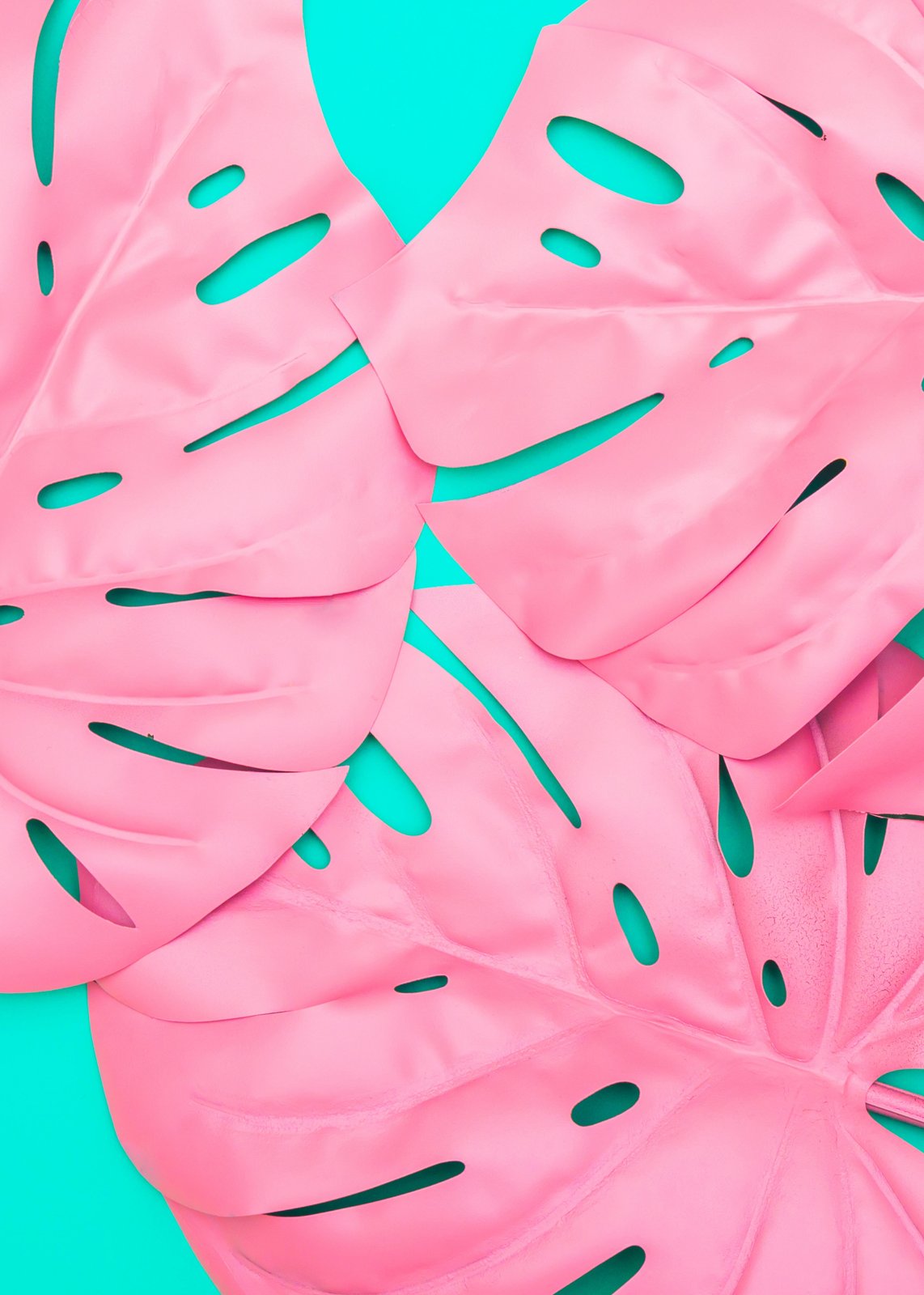 Pink Monstera Tropical Leaves Wall Art