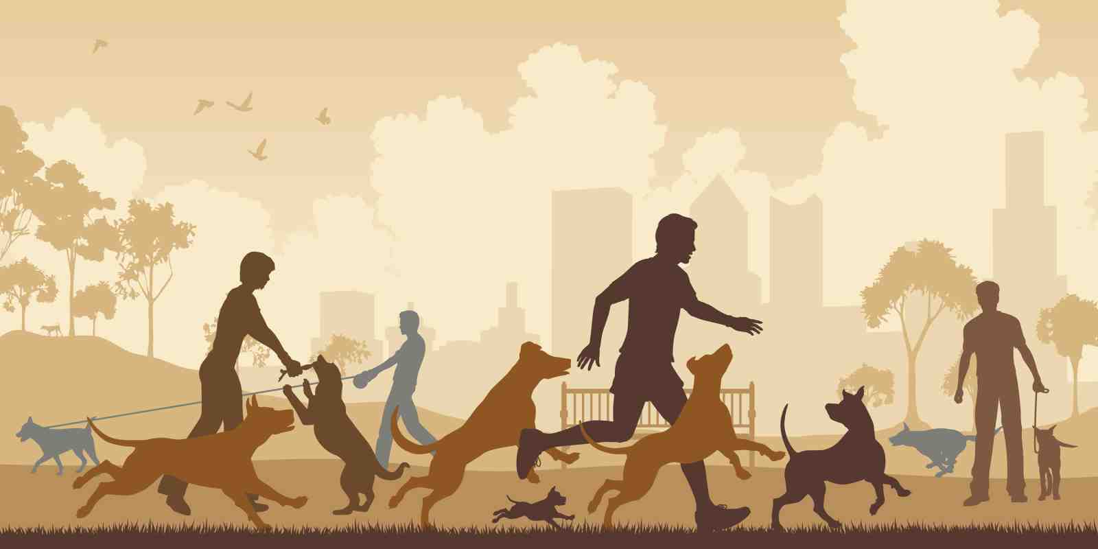 Joyful Dog Walkers Park Scene Wall Art