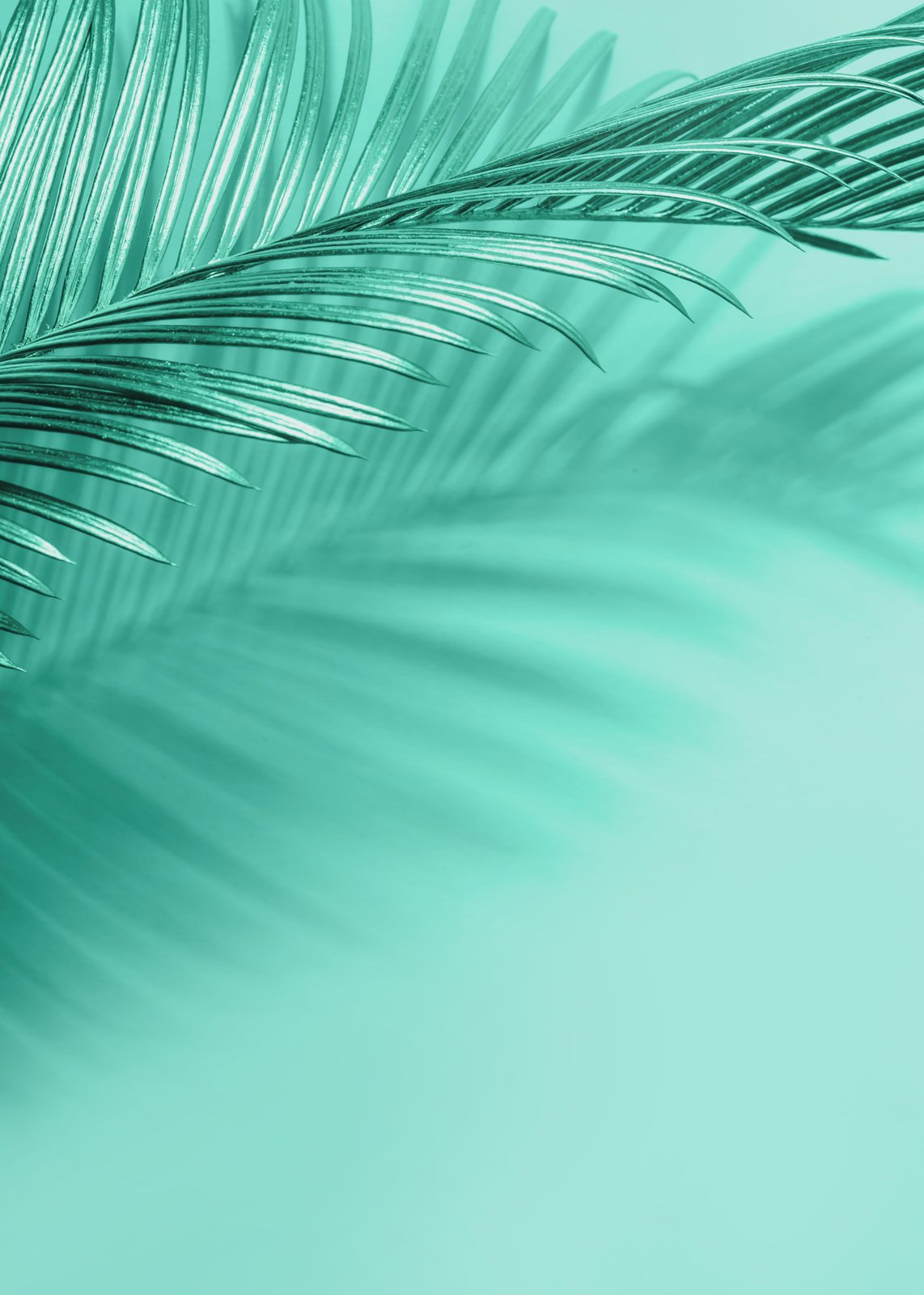 Serene Teal Palm Leaf Shadow Wall Art