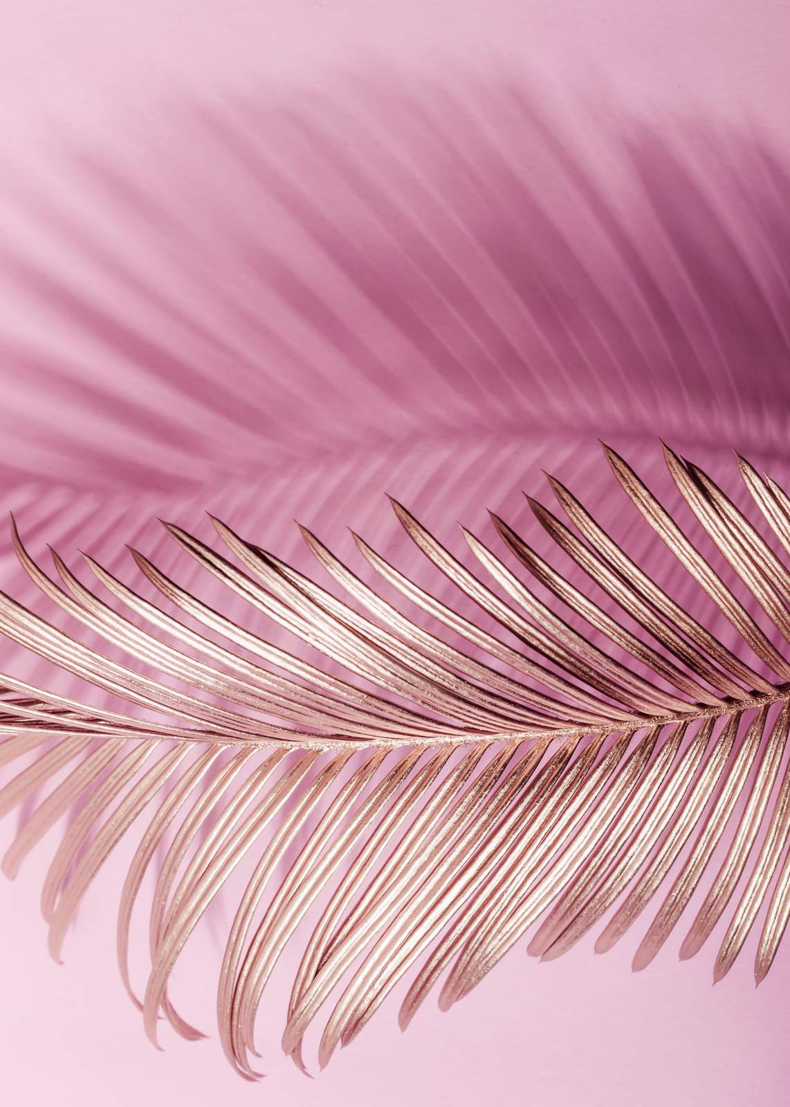 Rose Gold Palm Leaf Wall Art Wall Art