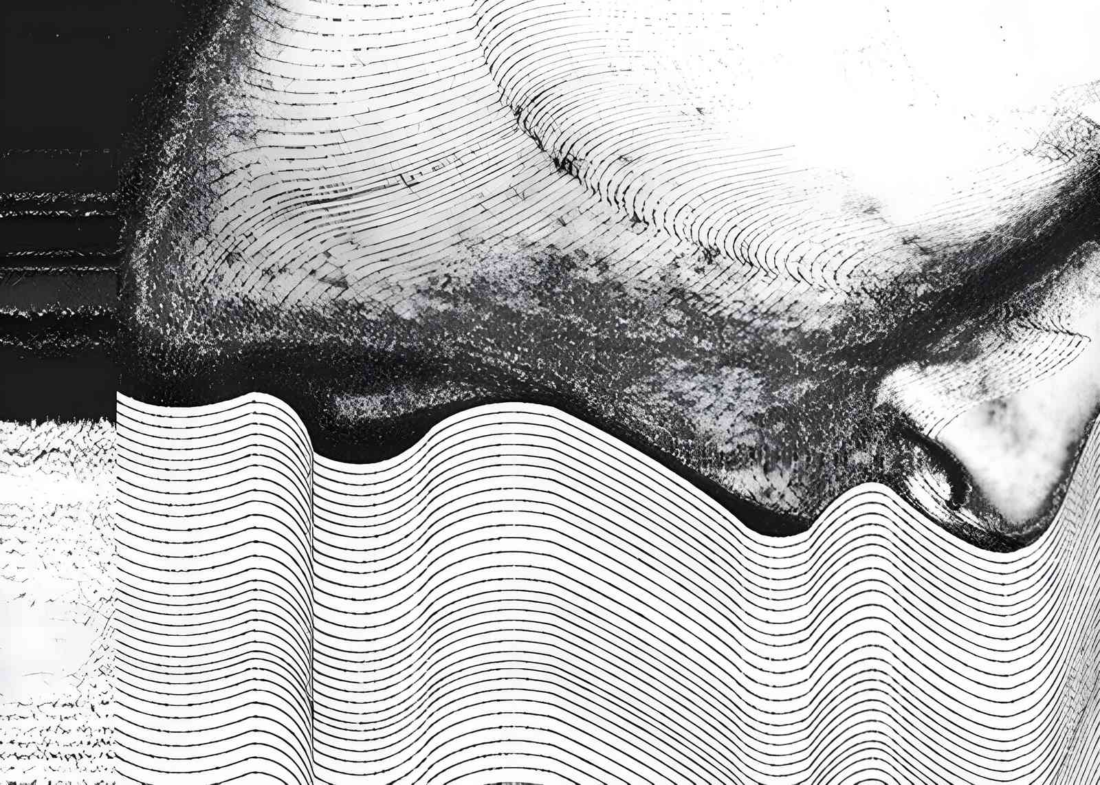 Abstract Contour Black & White Wall Art