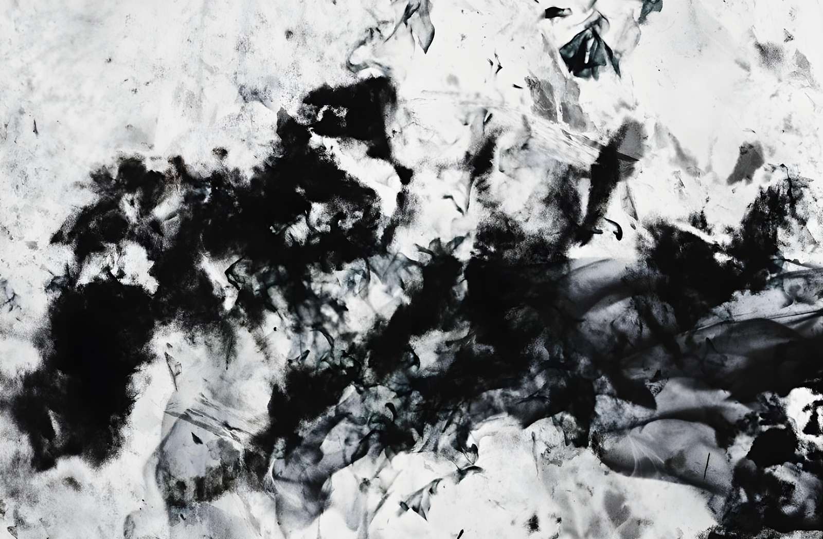 Abstract Black & White Ink Splash Wall Art
