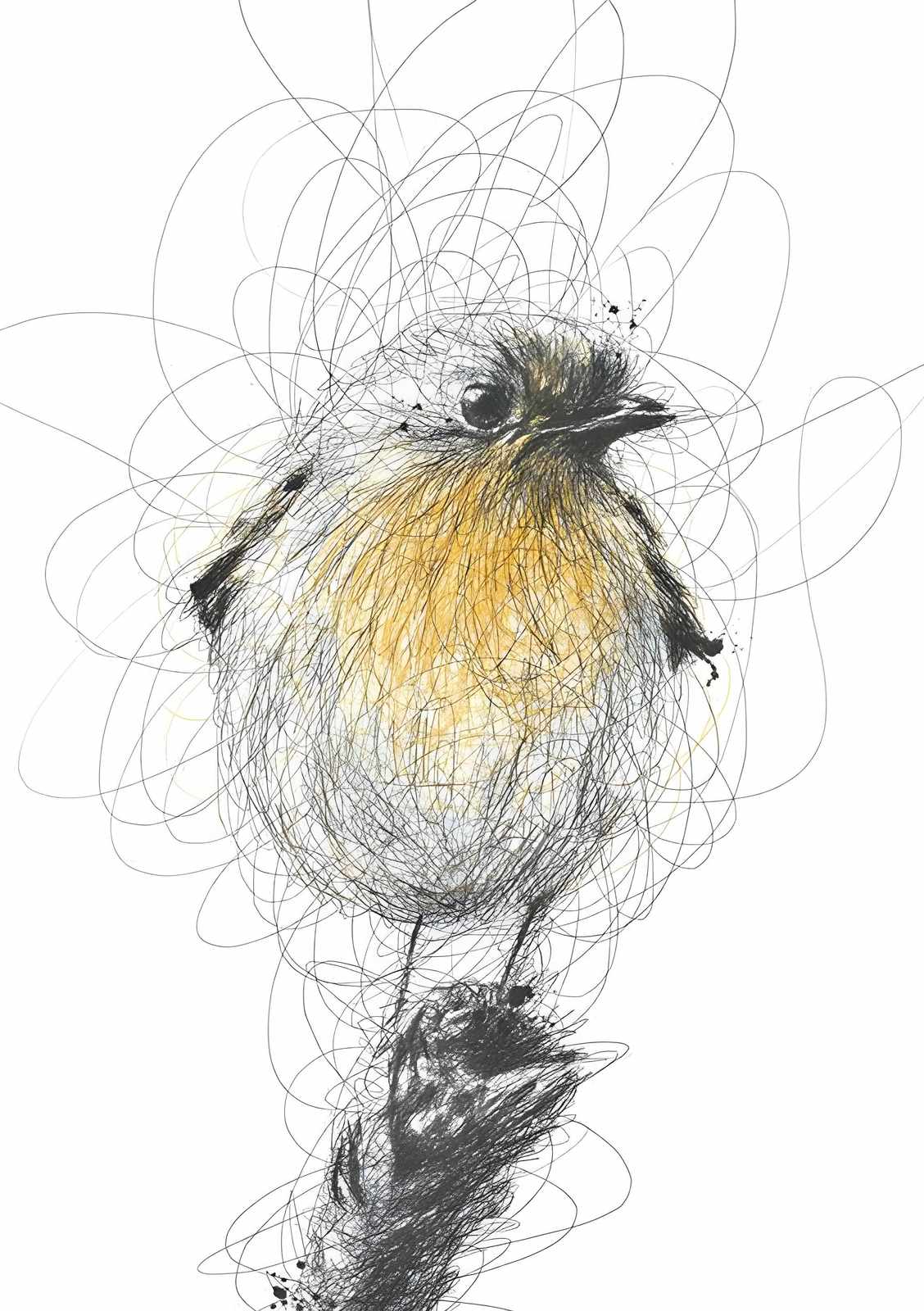 Whimsical Robin Scribble Art Wall Art