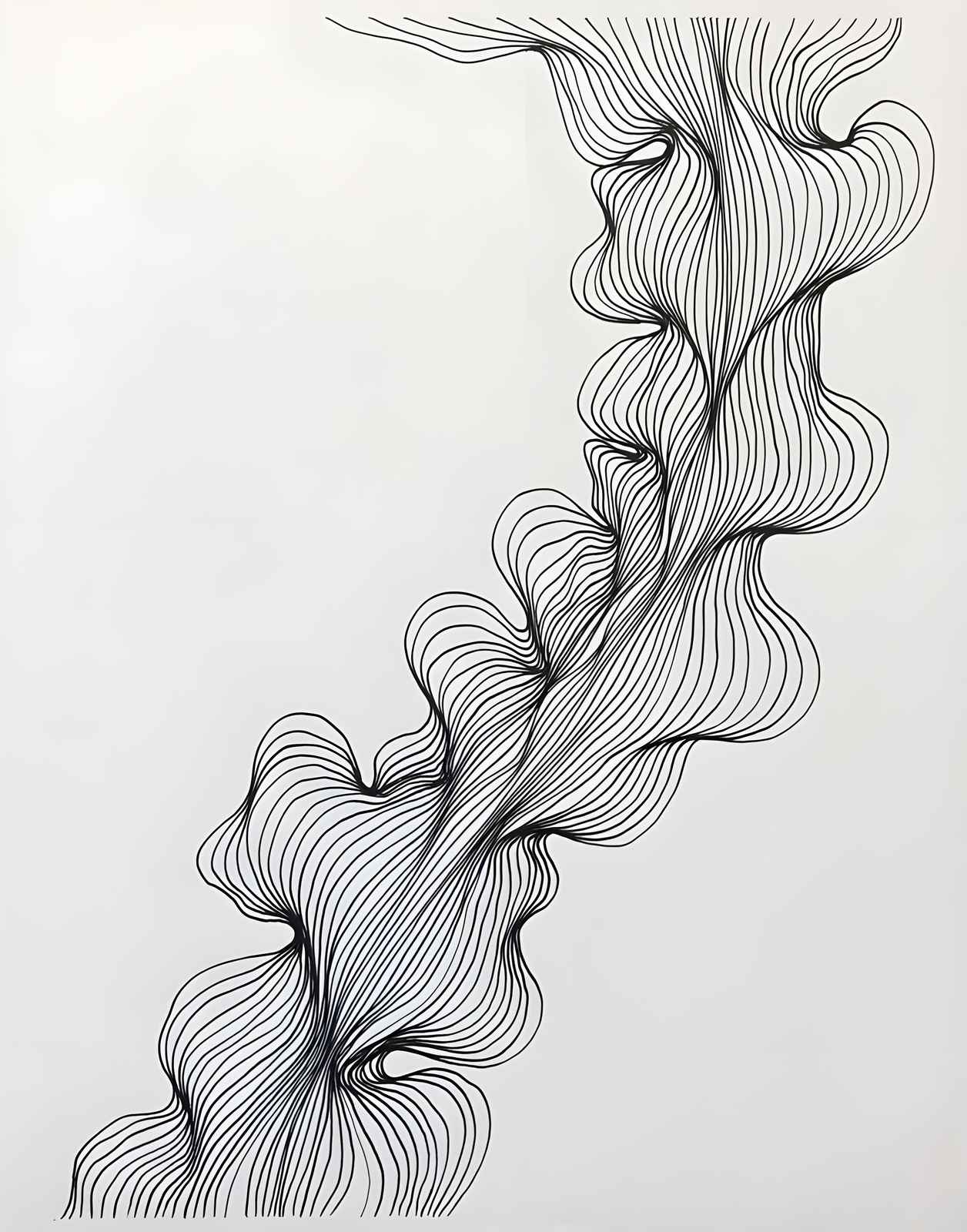 Abstract Black & White Flow Wall Art