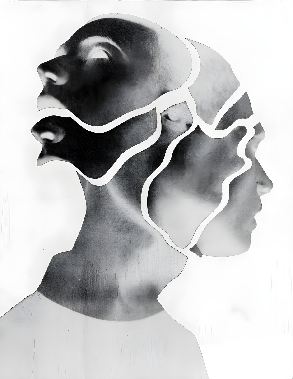 Abstract Fragmented Face Monochrome Wall Art