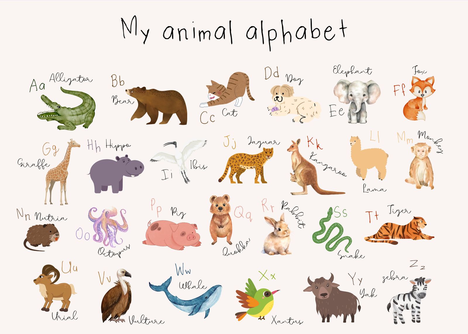 Whimsical Animal Alphabet Wall Art Wall Art
