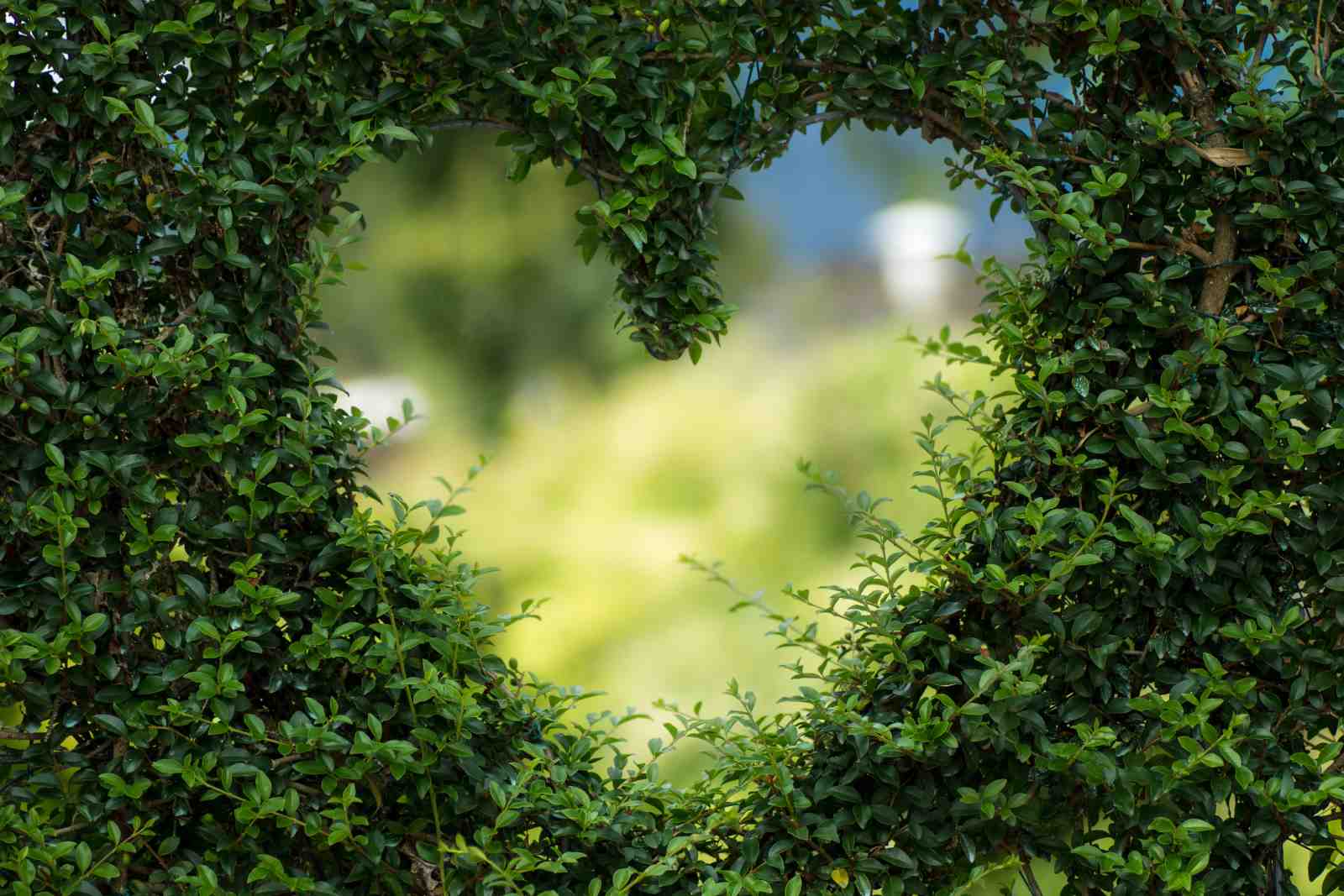 Heart Shaped Garden Nature Wall Art