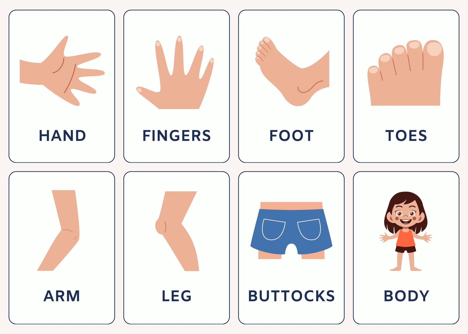 Educational Body Parts Flashcard Set Wall Art