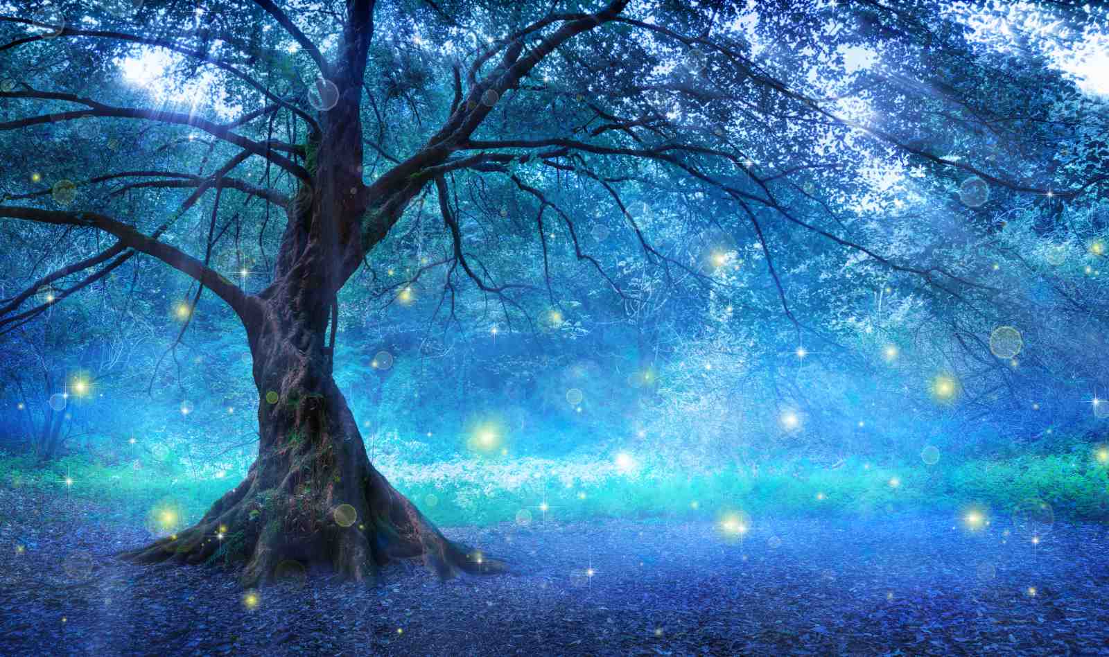 Enchanted Forest Magical Tree Wall Art