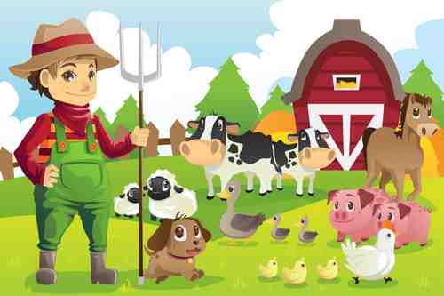 Farm Fun Colorful Animal Farm Wall Art