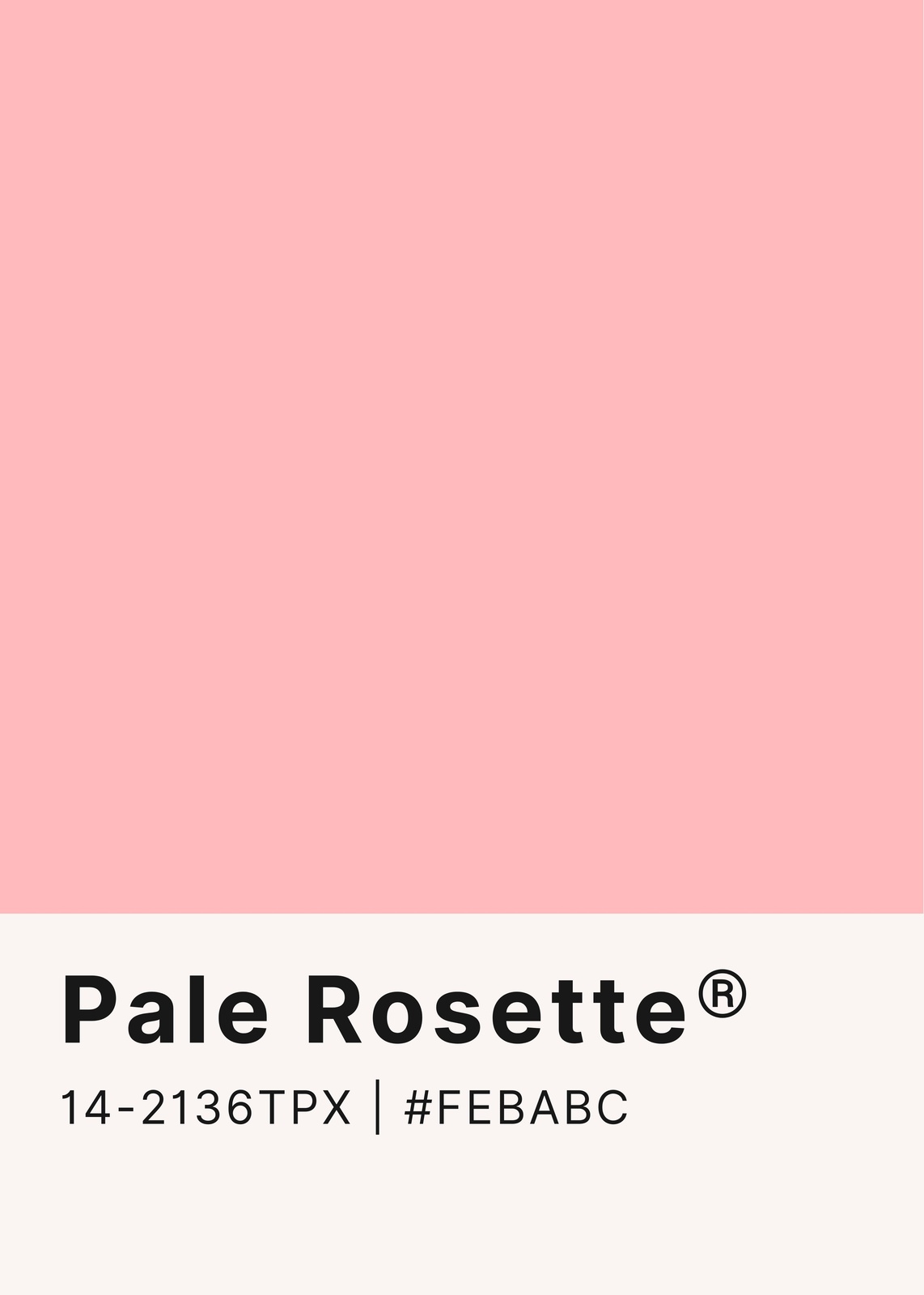 Soft Pink Pale Rosette Wall Art | Minimalist Art