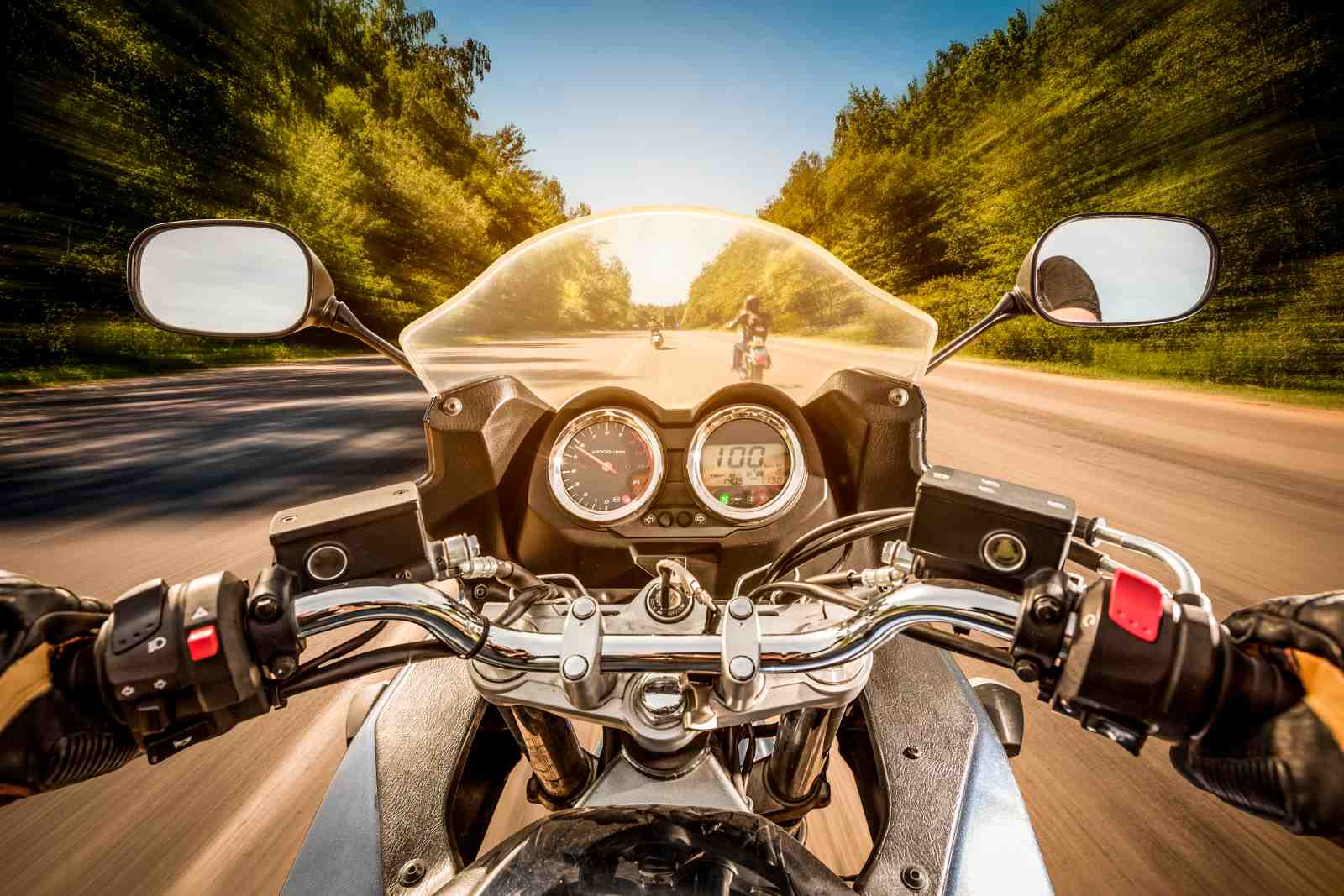 Biker's Freedom Motorcycle Road Wall Art