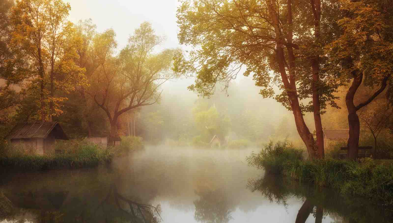 Misty Morning Lakeside Cabin Landscape Wall Art