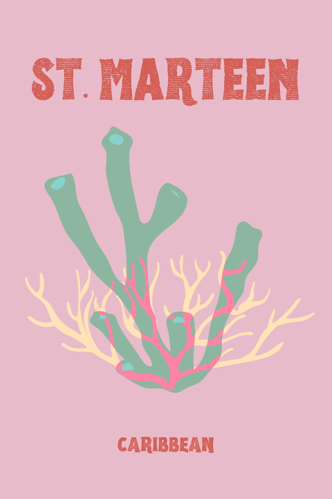 St. Marteen Coral Caribbean Wall Art Wall Art