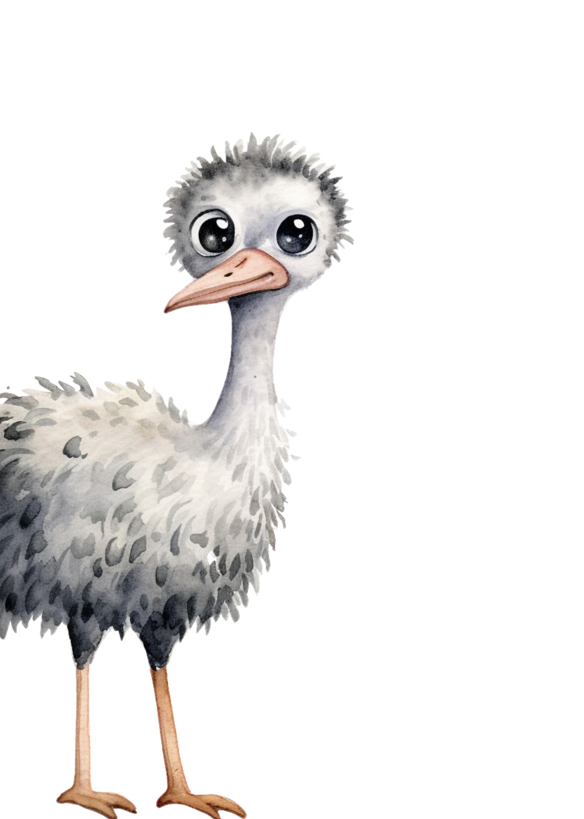 Cute Ostrich Watercolour Art Wall Art