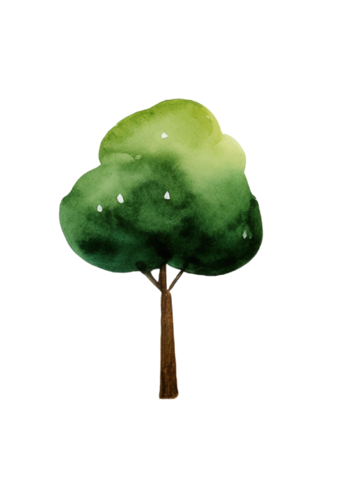 Serene Green Tree Watercolor Wall Art
