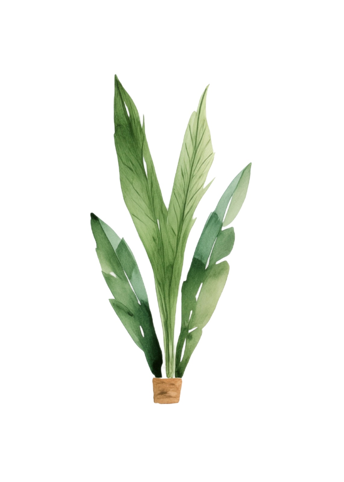 Botanical Elegance Watercolor Plant Wall Art