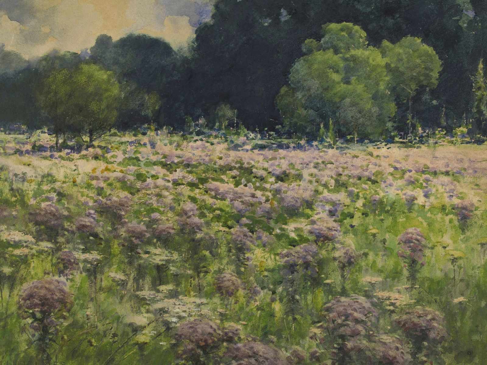 Serene Wildflower Meadow Landscape Wall Art