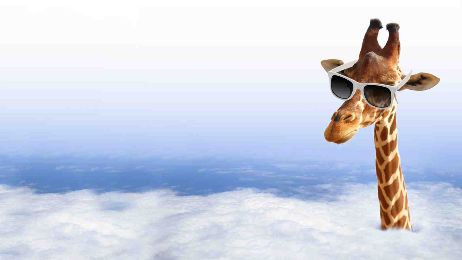 Cool Giraffe Above Clouds Wall Art