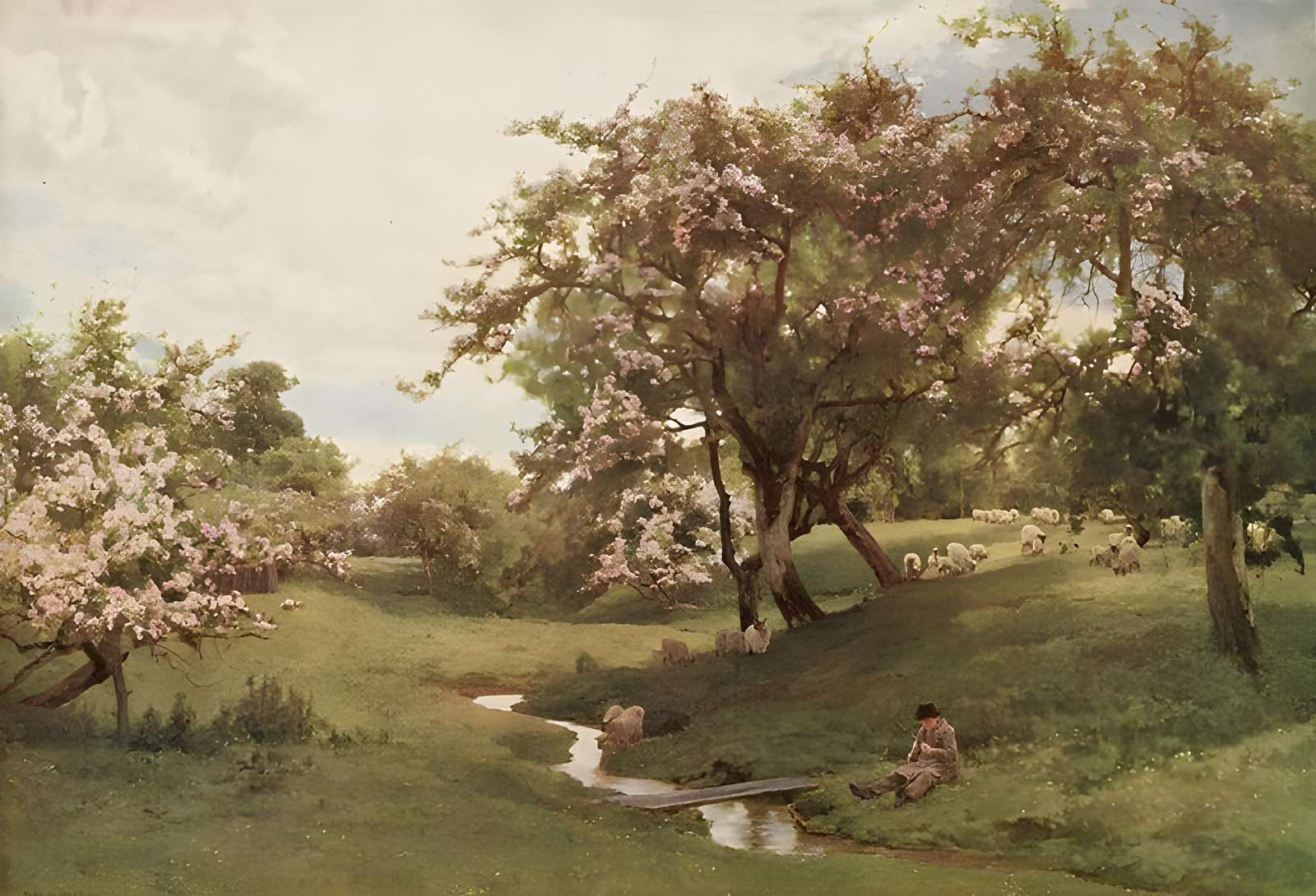Pastoral Sheep Meadow Serenity Wall Art