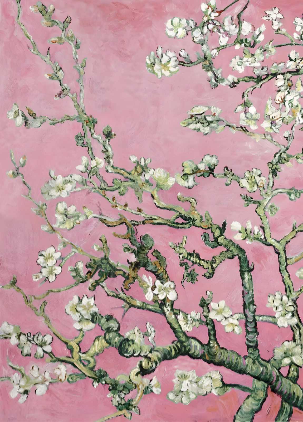 Van Gogh Almond Blossoms Wall Art - Floral Wall Art