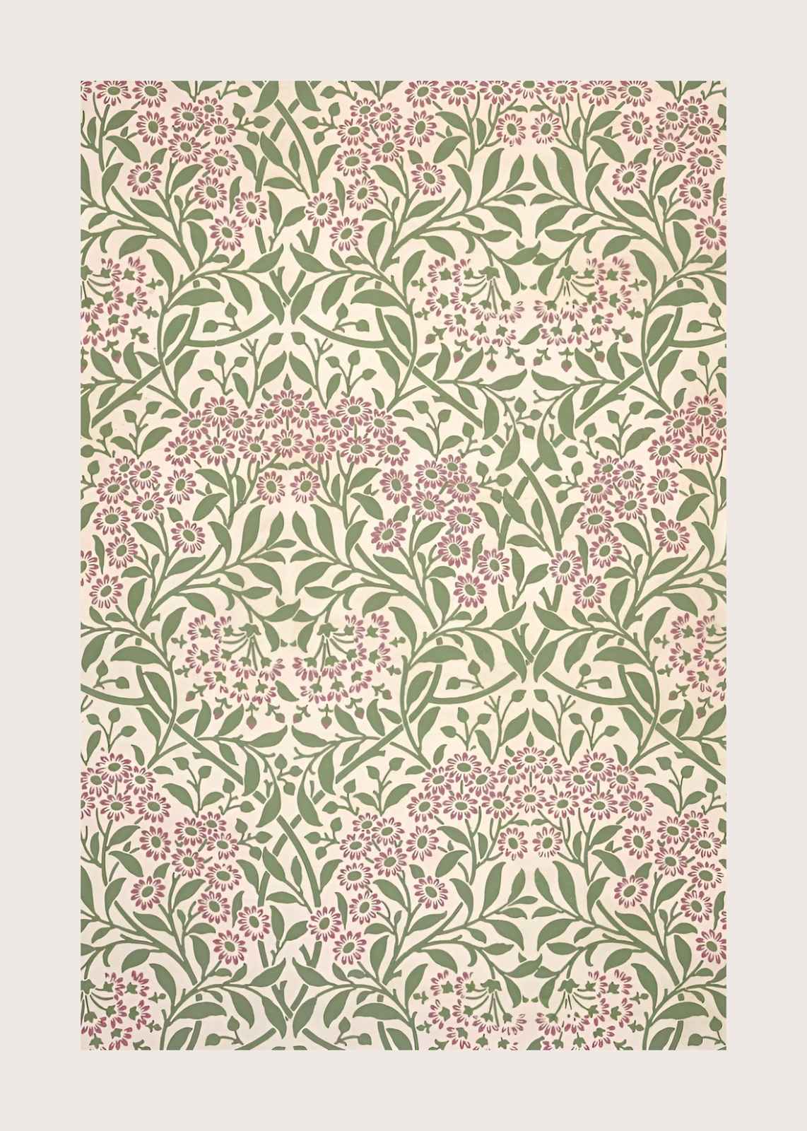 Vintage Floral Botanical Daisy Wall Art