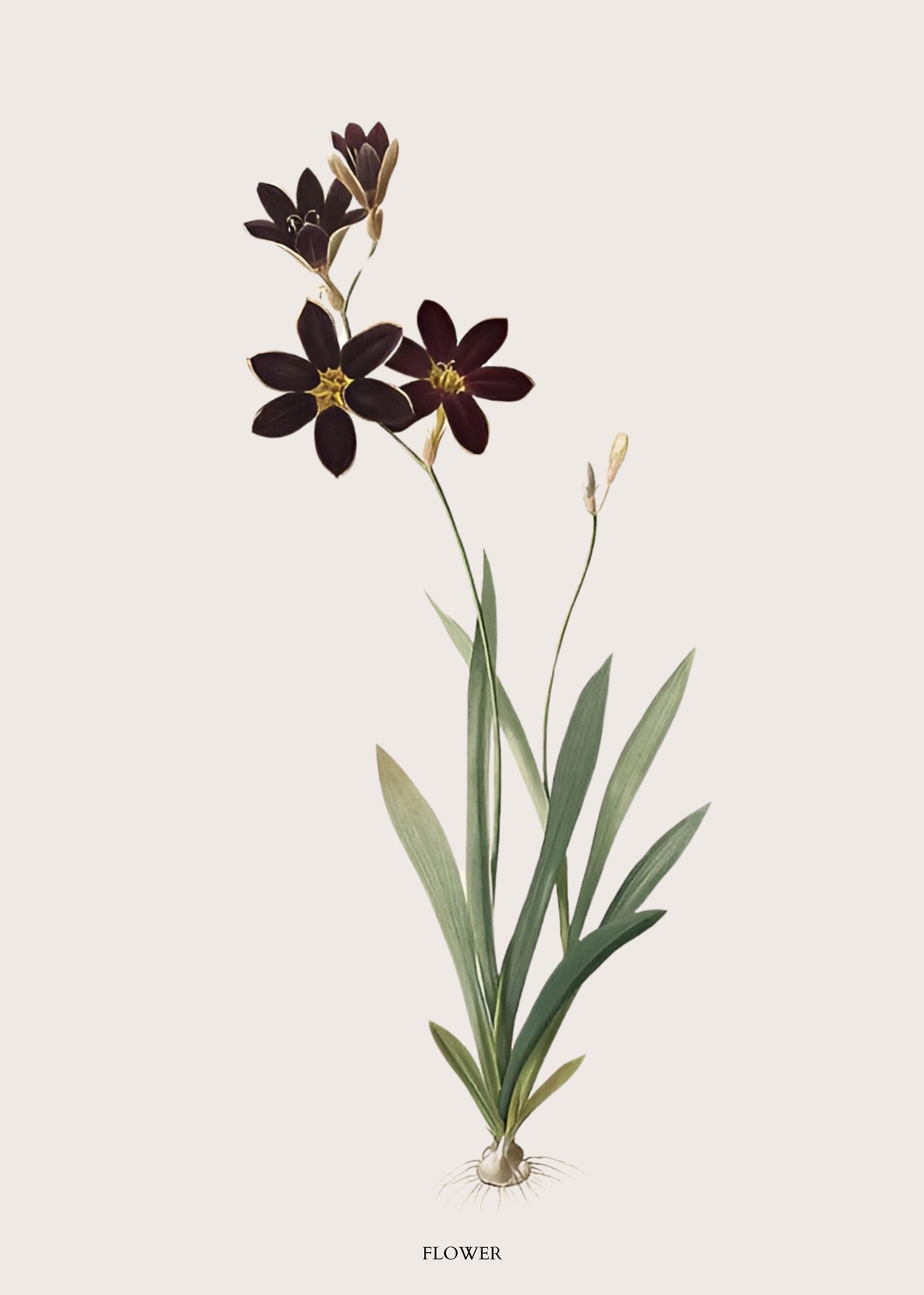 Elegant Dark Bloom Botanical Wall Art
