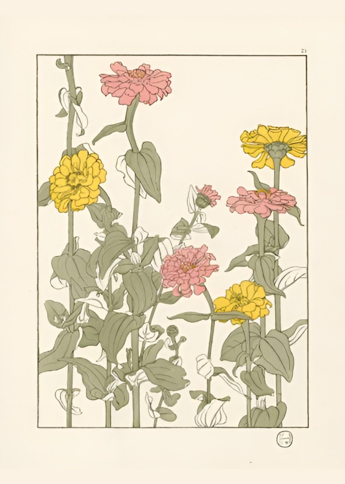 Vintage Floral Art Pink Yellow Zinnia Wall Art