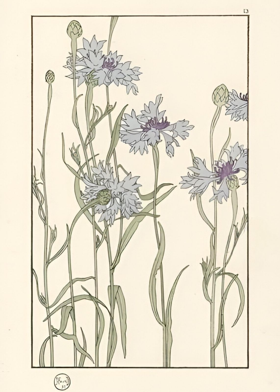 Art Nouveau Blue Cornflower Wall Art