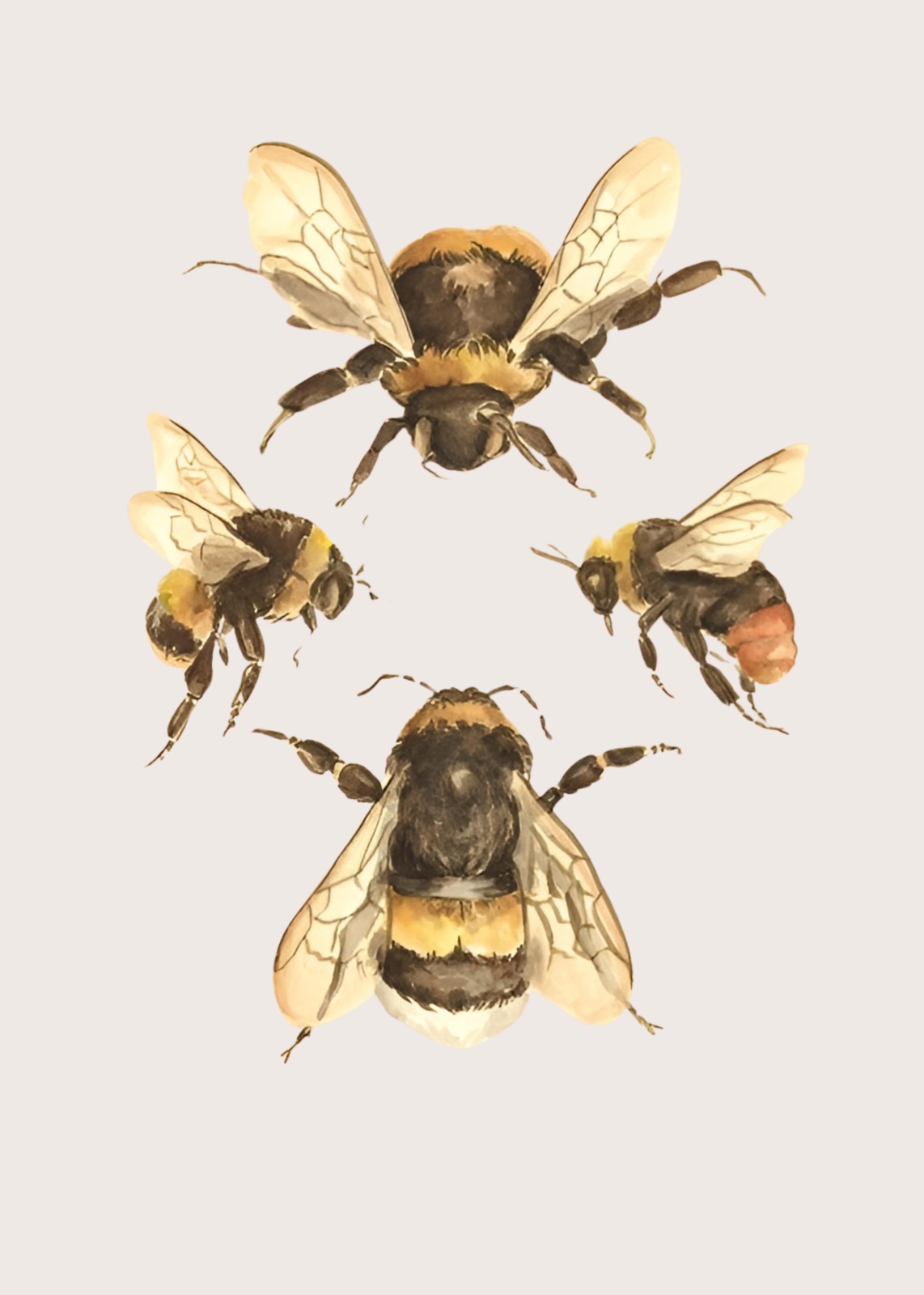 Whimsical Bumblebee Watercolor Wall Art